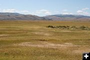 Road remnant. Photo by Dawn Ballou, Pinedale Online.