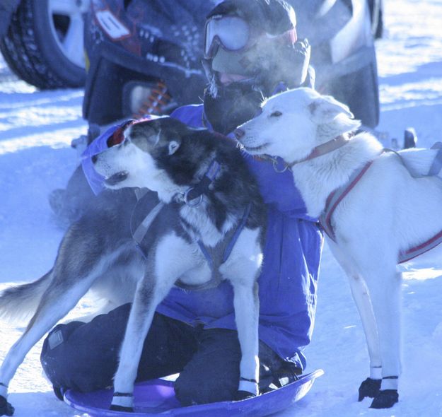 Waiting their turn. Photo by Trey Wilkinson, Sublette Examiner.