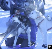 Waiting their turn. Photo by Trey Wilkinson, Sublette Examiner.