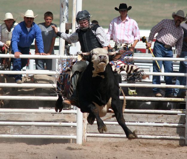 Bull Riding. Photo by Clint Gilchrist, Pinedale Online.