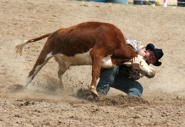 Steer Wrestling. Photo by Clint Gilchrist, Pinedale Online.