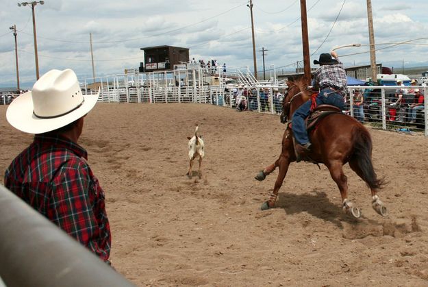 Out the chute. Photo by Dawn Ballou, Pinedale Online.