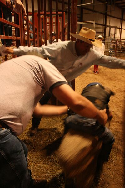 Out of the chute. Photo by Dawn Ballou, Pinedale Online.