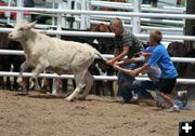 Calf Scramble. Photo by Clint Gilchrist, Pinedale Online.