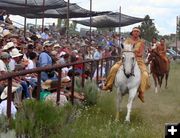 Close to the action. Photo by Clint Gilchrist, Pinedale Online.