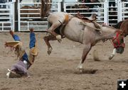 Saddle Bronc. Photo by Clint Gilchrist, Pinedale Online.