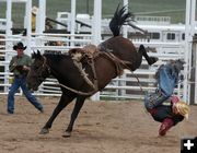 Saddle Bronc. Photo by Clint Gilchrist, Pinedale Online.