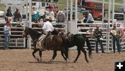 Riderless Horse. Photo by Dawn Ballou, Pinedale Online.