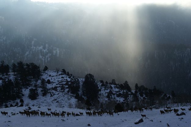 Morning light. Photo by Cat Urbigkit, Pinedale Online.