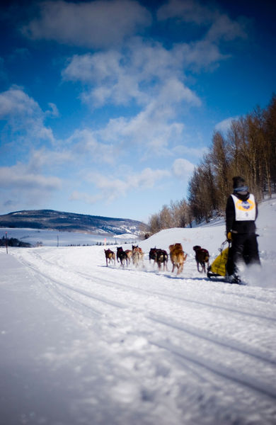 Musher Joe Guns. Photo by Octavian Dumitrescu, Pinedale Legacy Photography.