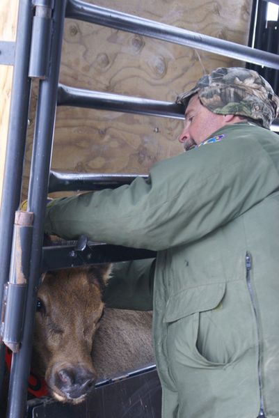 Tim Thomas. Photo by Cat Urbigkit, Pinedale Online.