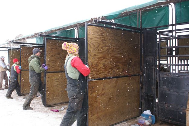 Loading chutes. Photo by Cat Urbigkit, Pinedale Online.