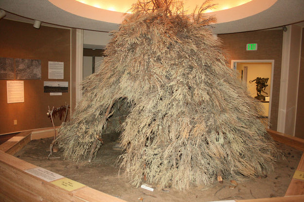 Sagebrush shelter. Photo by Dawn Ballou, Pinedale Online.