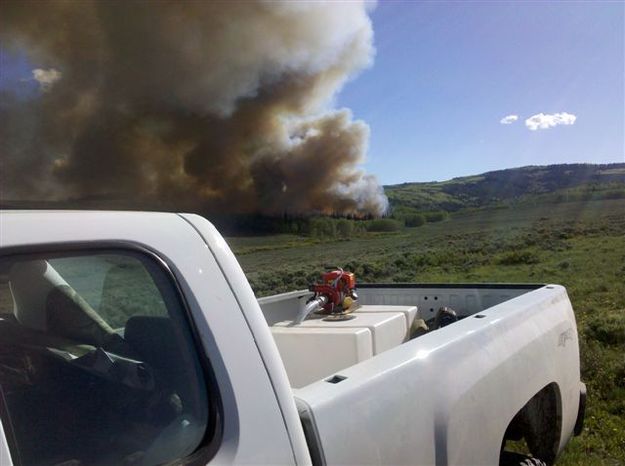 Smoke. Photo by T.J. Hunt.