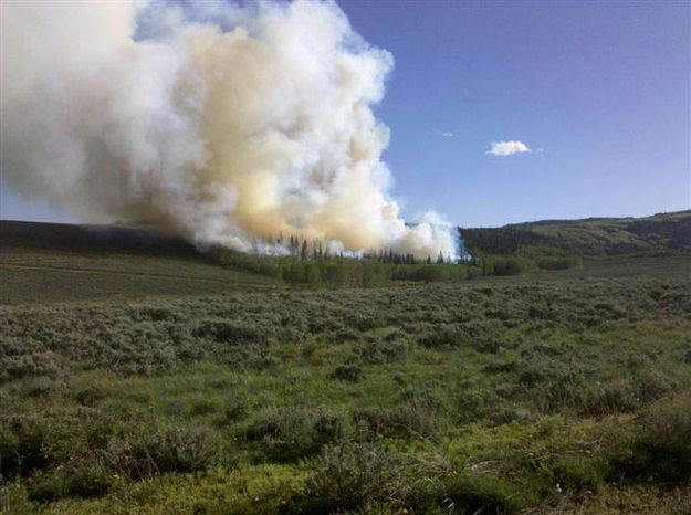 Camp Creek Burn smoke. Photo by T.J. Hunt.