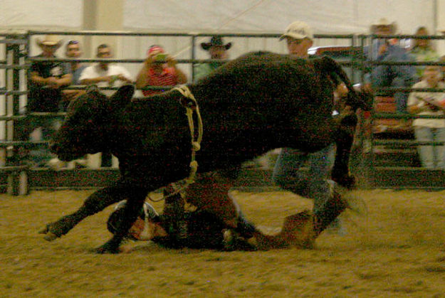 Chance Stevie. Photo by Dawn Ballou, Pinedale Online.