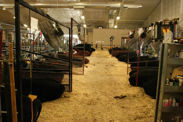 Cattle barn. Photo by Dawn Ballou, Pinedale Online.