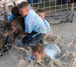 Here Pig!. Photo by Matt Naber, Sublette Examiner.