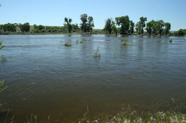 New Fork River - Lander Trail Crossing. Photo by Dawn Ballou, Pinedale Online.