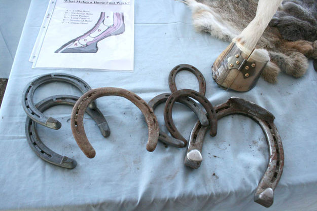 Horseshoes and Hoof. Photo by Dawn Ballou, Pinedale Online.