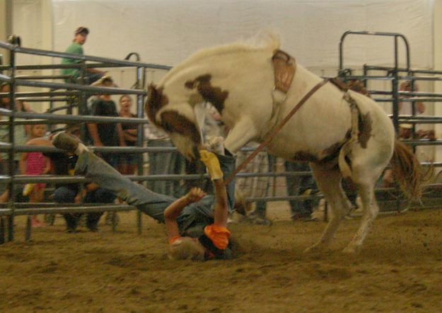 Tegan Hughes. Photo by Dawn Ballou, Pinedale Online.