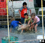 Bacon Bits. Photo by Dawn Ballou, Pinedale Online.