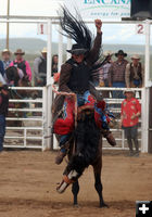 Saddle Bronc Riding. Photo by Clint Gilchrist, Pinedale Online.