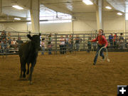 Cowgirl. Photo by Dawn Ballou, Pinedale Online.