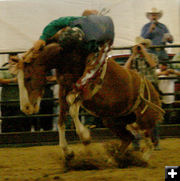 Donnie Profitt - Bareback Riding. Photo by Pinedale Online.