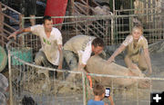 Hog Huckers. Photo by Dawn Ballou, Pinedale Online.