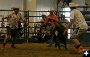 Jaspur Brower. Photo by Dawn Ballou, Pinedale Online.