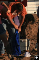 Working the sleeves. Photo by Dawn Ballou, Pinedale Online.