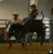 Wyatt Madole - Calf Riding. Photo by Dawn Ballou, Pinedale Online.