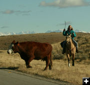 Cowgirl. Photo by Dawn Ballou, Pinedale Online.