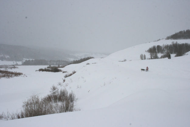 14-year old Bailey Vitello. Photo by Dawn Ballou, Pinedale Online.