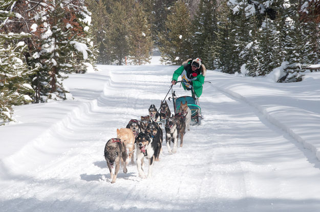 Still running strong. Photo by Chris Havener.