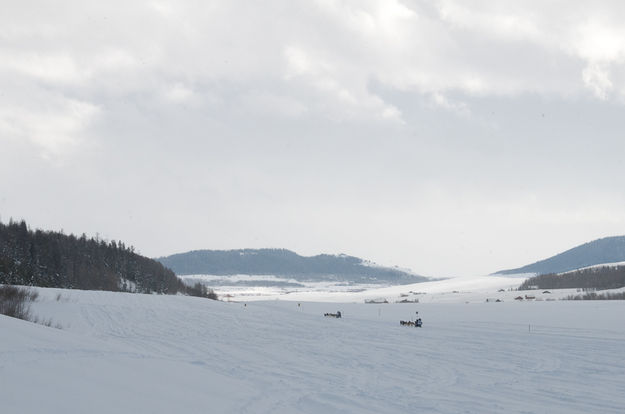 Snowy Openness. Photo by Chris Havener.