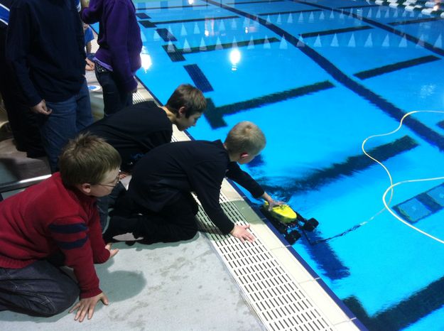 Out of the pool. Photo by Robin Schamber, Sublette 4-H.