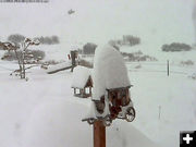 Snow on Thursday. Photo by Bondurant webcam.