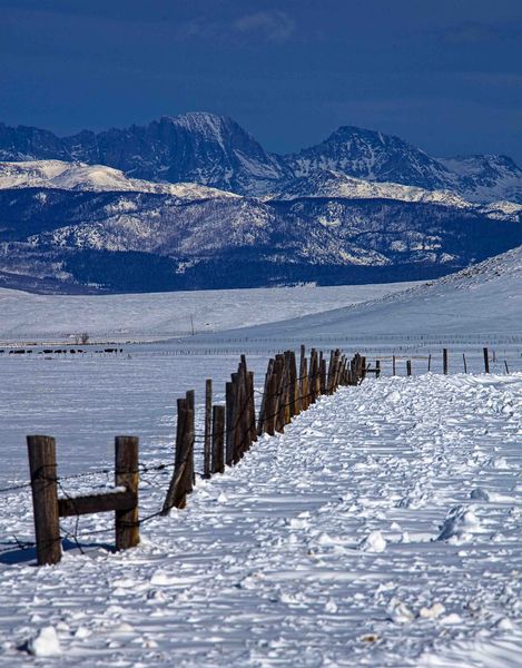 Fenceline symmetry. Photo by Dave Bell.