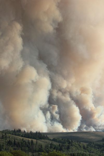 Thick smoke. Photo by Karen Forrester.