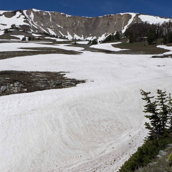 Snow melting fast. Photo by Dave Bell.