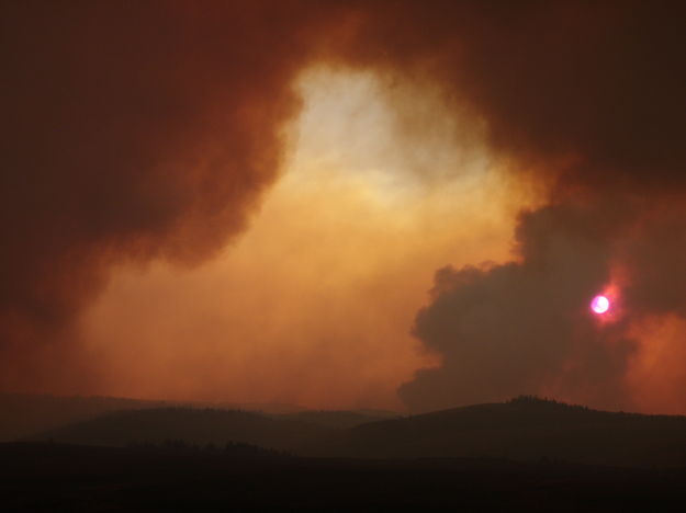 Riley Ridge Smoke. Photo by Kailey Barlow.