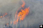 Torching trees. Photo by Tyler Foster.