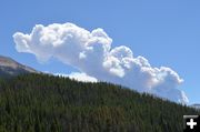 View from Grey's River. Photo by Ken Tanner.