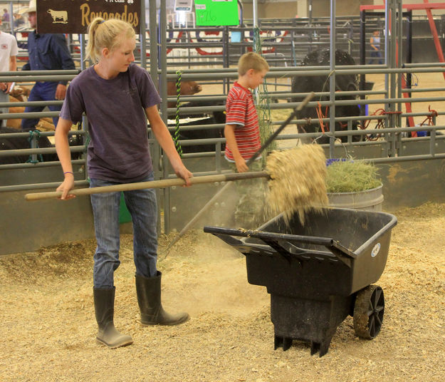 Cleaning the pen. Photo by Dawn Ballou, Pinedale Online.