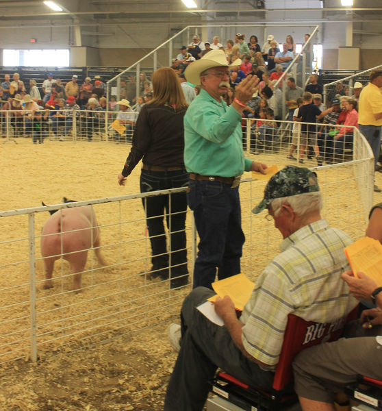 Steve James. Photo by Dawn Ballou, Pinedale Online.