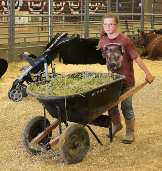 Clean up. Photo by Dawn Ballou, Pinedale Online.