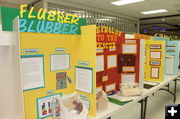 Science Fair. Photo by Dawn Ballou, Pinedale Online.