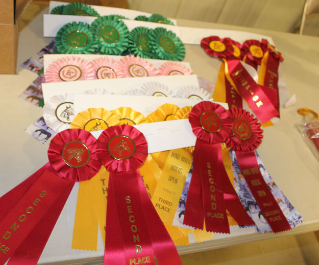 Ribbons. Photo by Dawn Ballou, Pinedale Online.